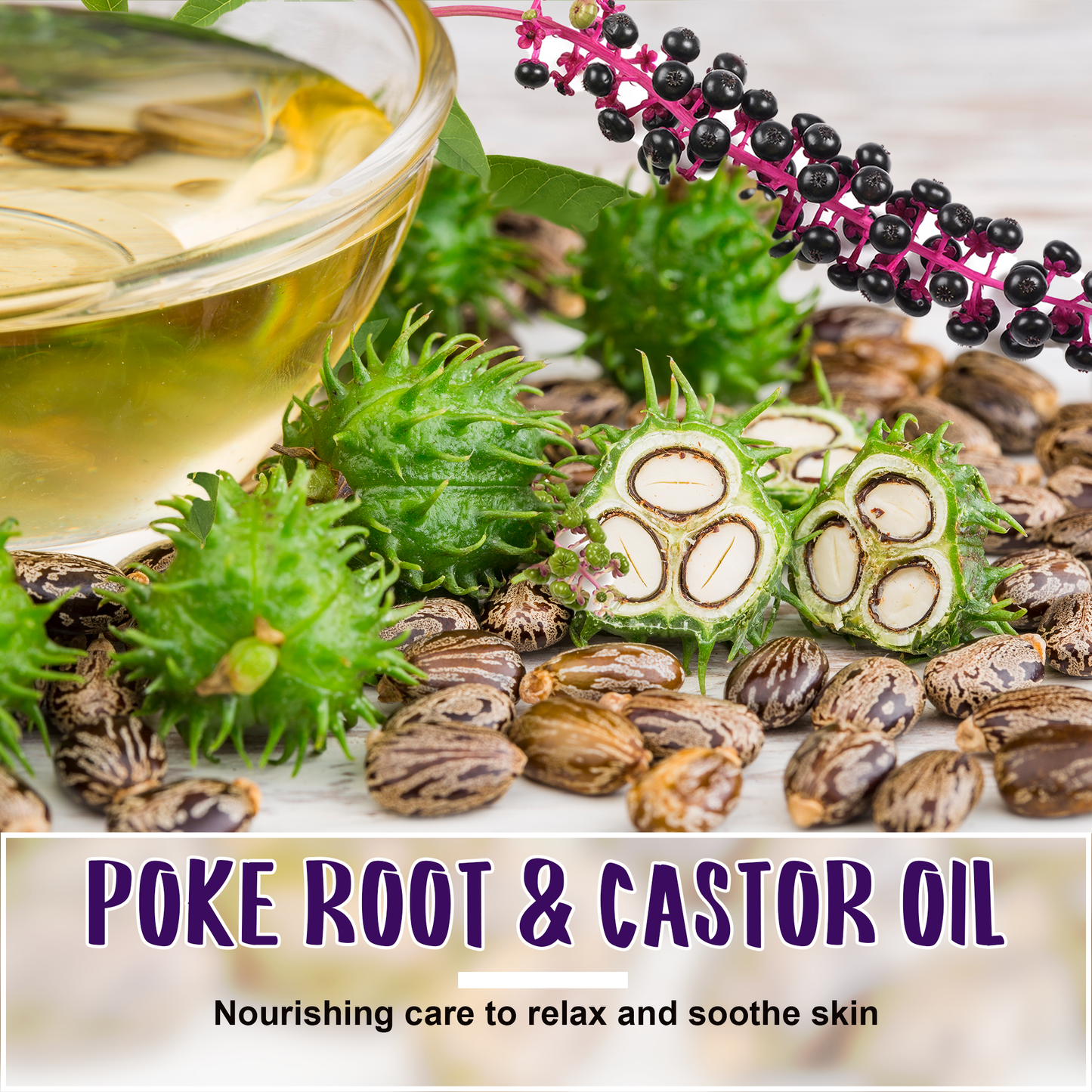 Botanical Body Oil ¨C Universal 60ml | Pokeweed & Castor Oil Blend | Soothes Tension & Discomfort