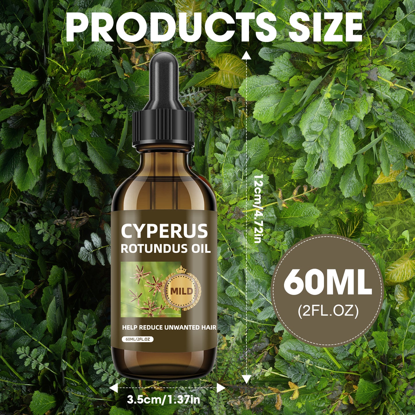 Nutgrass (Cyperus Rotundus) Body Oil ¨C Universal 60ml | Nourishing Care Oil in Brown Glass Dropper Bottle