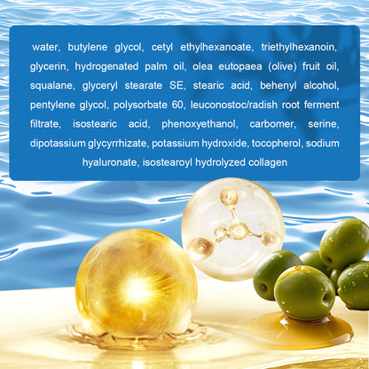 Facial Night Moisturizer